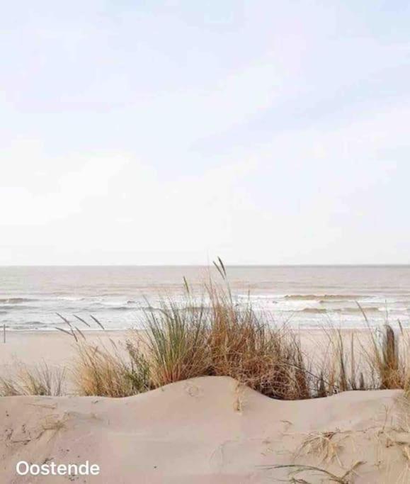 Ostend Chic, Luxe Loftstijl In Oostende Kültér fotó